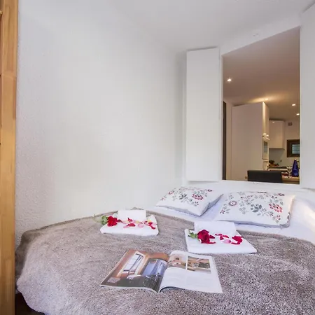 Androsace Appartement Chamonix